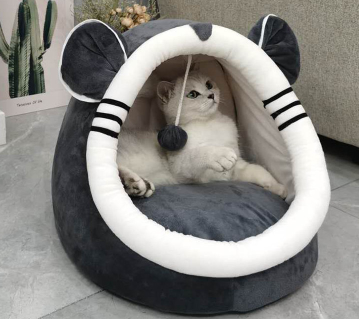 designer cat bed