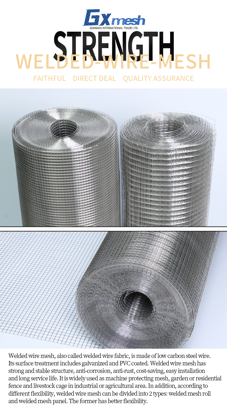 Widely Used Superior Quality best selling ISO certification hot dipped galvanized welded wire mesh