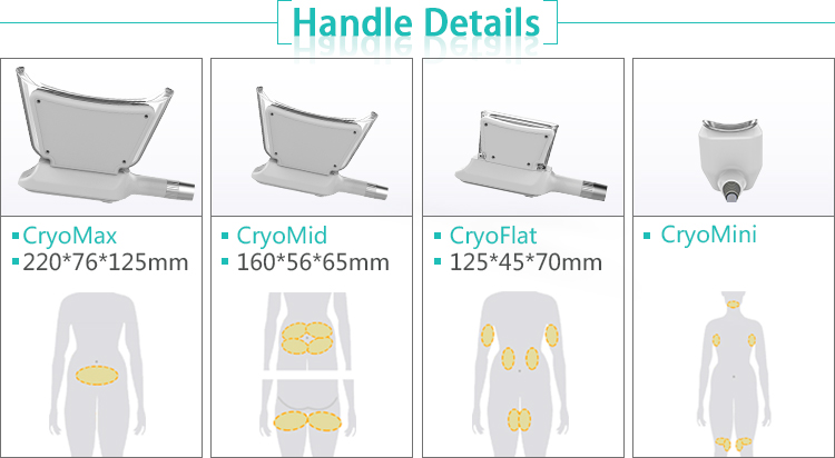 Factory price CE approved 4 cryo handles fat freezing weight loss cryolipolysis cool sculpting machine