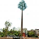 30m Camouflaged Telecom Antenna Tower Artificial Pine Tree Galvanized