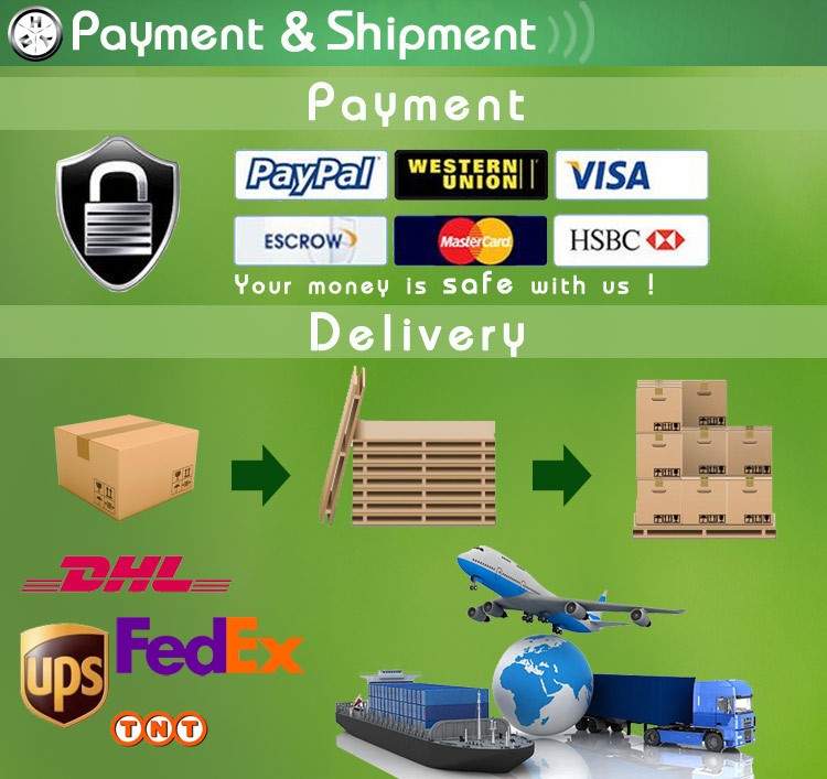 3-Payment-and-Shipment.jpg