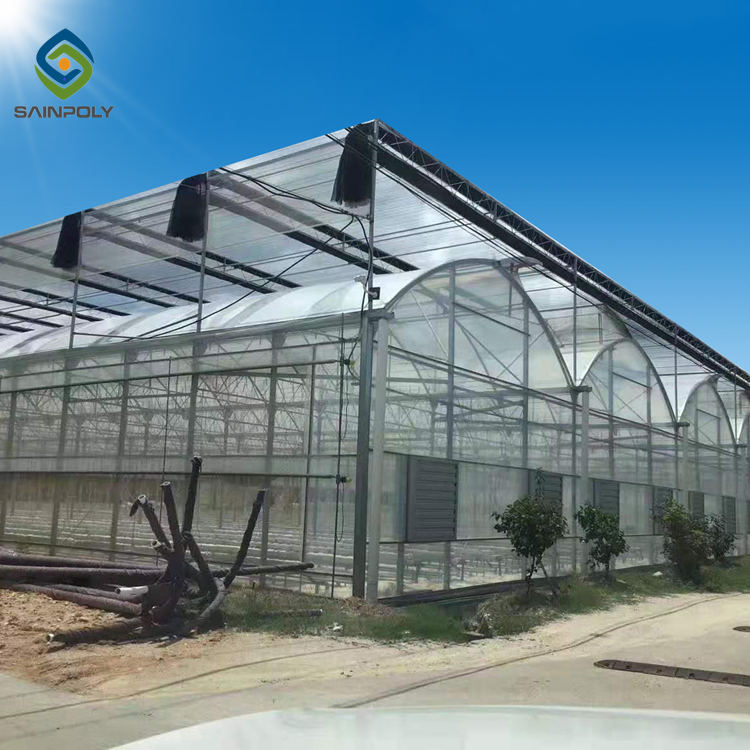 Sawtooth Top Ventilation 9.6m Multi Span Greenhouse 1