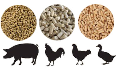 animal feed pellets made by pellet machine