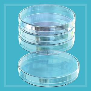 presterilized agar plates sterile petri plates agar plates mold petri dosh plastic bacteria peetry 