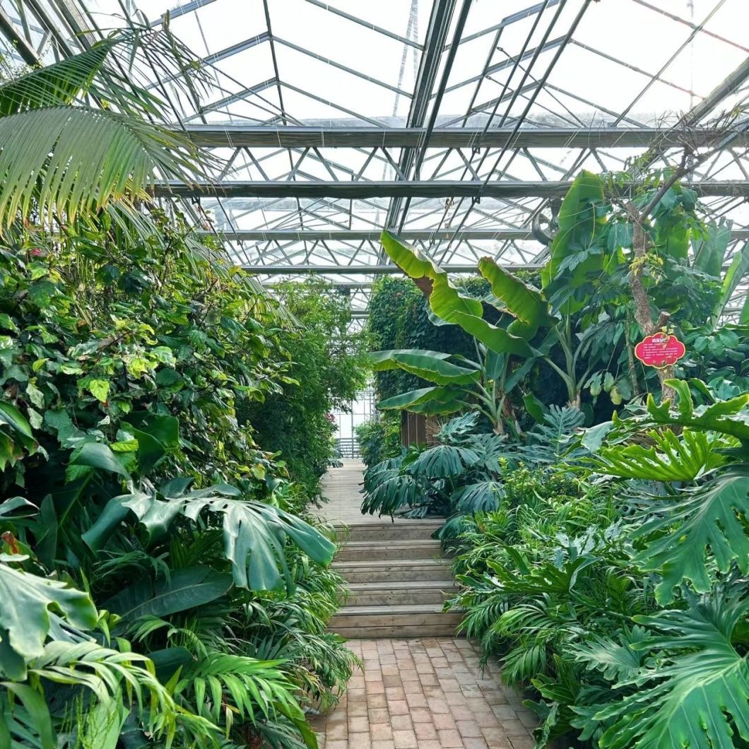 Eco-Friendly Multi Span Glass Greenhouse