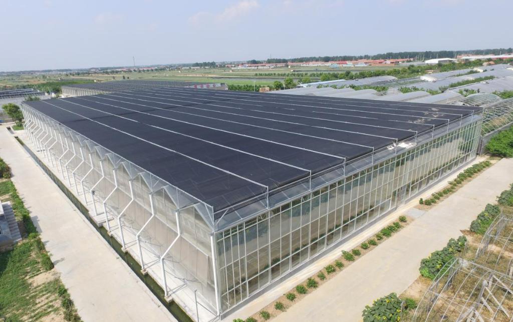 Juxiang Shipping Container Greenhouse for Vegetables