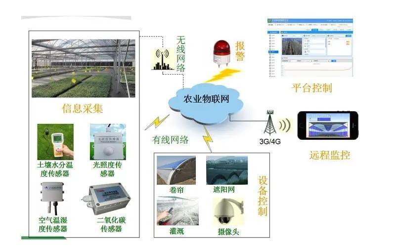 China Made Multispan Hydroponics Plastic Film Agricultural Greenhouse for Commercial Farm