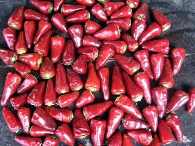 High Quality Low Price Stemless Chaotian Chilli Dry Bullet Chilli Xinyidai New Generation 0