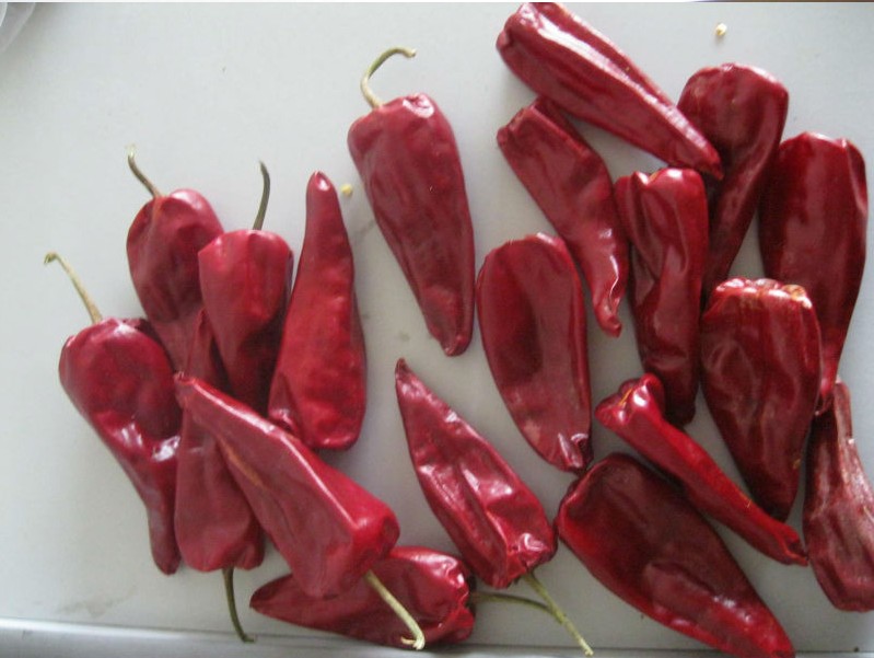 Air dried red bullet chilli SHU25,000-30,000