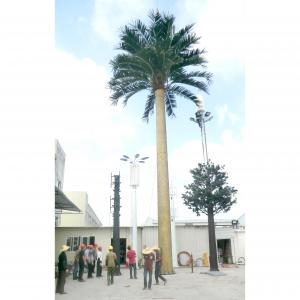 China ODM 30m Artificial Palm Tree Disguised Cell Towers Galvanized Steel Pipe on sale 