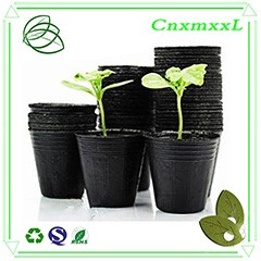 plant pots plug tray Seedlings plants plant growing trays for wholesales