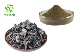 China 100% Vegetable Extract Powder Ground Auricula Dehydrated Dried Black Fungus Powder on sale 