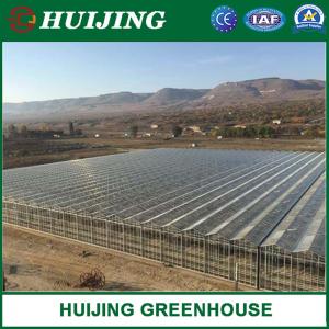 China Agricultural/Multi Span Glass Greenhouse for Flower/Planting/Vegetable/Garden/Tomato/Fruit on sale 