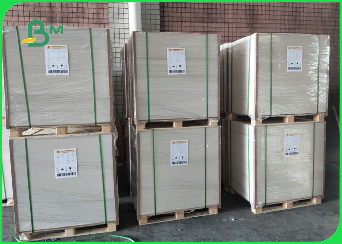 300gsm + 15gPE Food Grade Paperboard For Lunch Box High Surface Smoothness