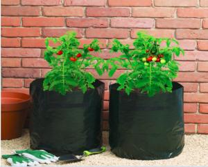 China Garden Potato Garden Plant Accessories PE Fabric Reusable Vegetable , Round small Grow Bag on sale 