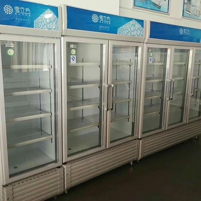 Double glass doors Economic display type refrigerate and preserve freshness beer cabinet for drinks 4