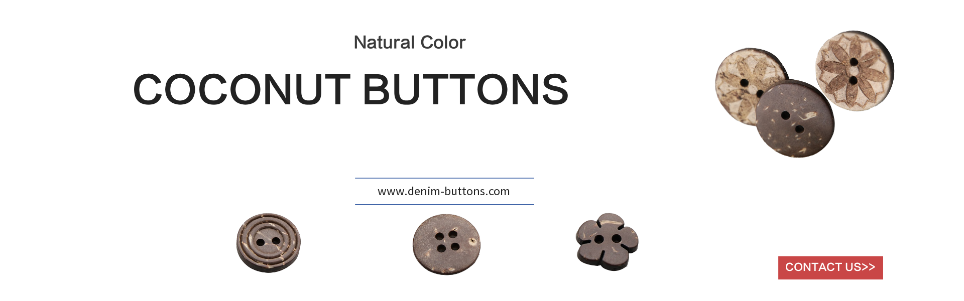 coconut buttons 2 hole or 4 holes