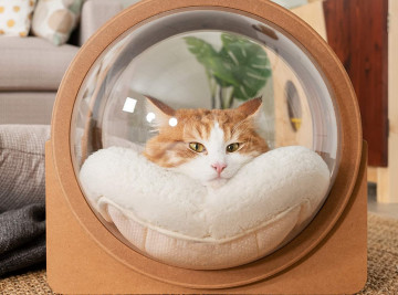 capsule cat bed