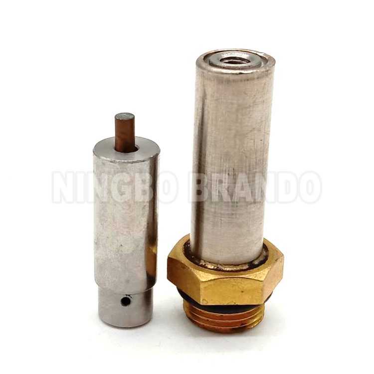 LPG CNG Solenoid Armature 1