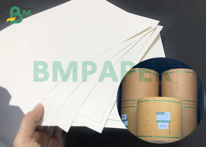 250gsm 300gsm + 15PE C1S C2S White Carton Rolls For Disposable Paper Cups