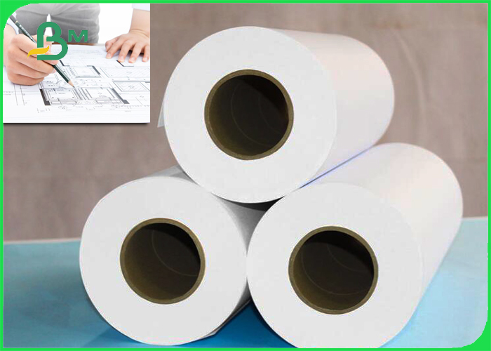 Graph Paper Roll 20lb 24" X 300" Size 2" Plotting Paper Roll 3 Rolls Carton