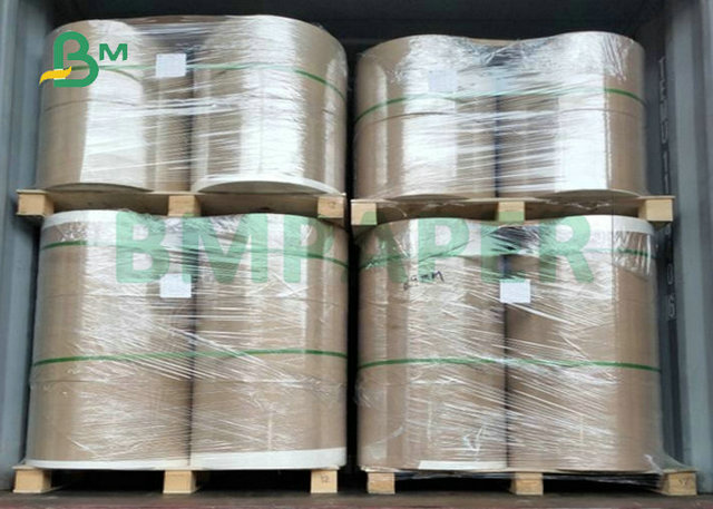 Good Absorption 230gsm + 18PE CupStock Paper Coated One Sided For Papercups 