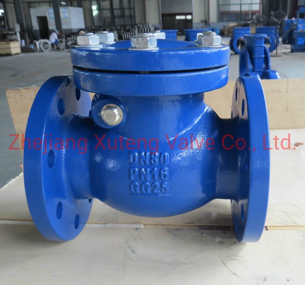 Carbon Steel Body Flang Swing Check Valve Pn16 (H44W)