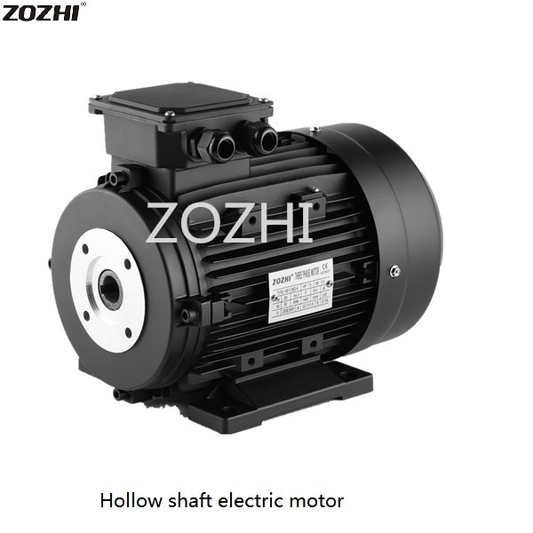 hollow shaft electric motor