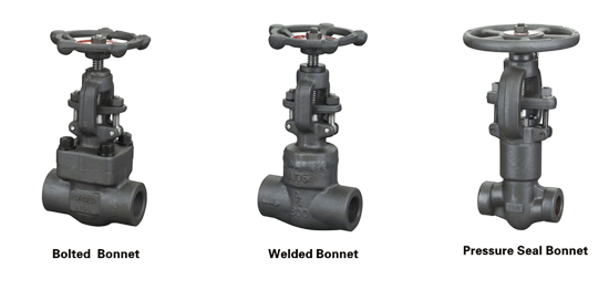 Stainless Steel Globe Style Needle Valve By Thread End Working Pressure 100 Bar Min 2