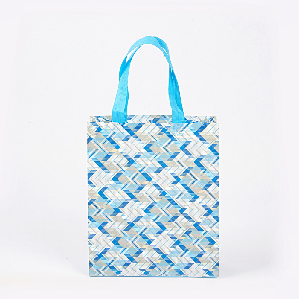 High Quality Good Price Custom Promotional New Design Eco Promotional Non-Woven Bag Non Woven Bag From China Supplier