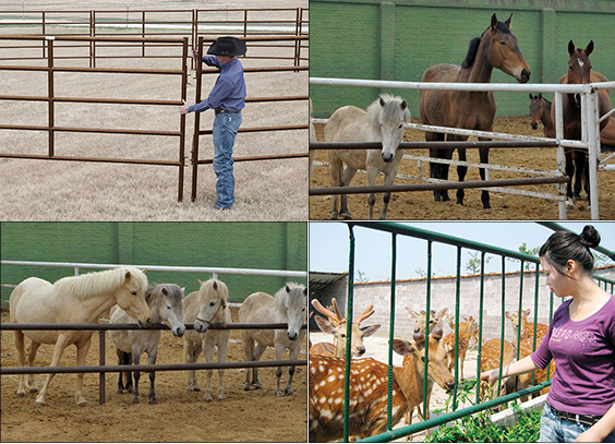Livestock Farm Fence / Horse Fence Panel / Cattle Fence Panel horse sheep stockyard corral panel yard gate