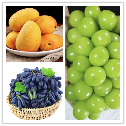 Fruit Tree Organic Amino Acid 80% Amino Acid Fertilizer For Plants 1