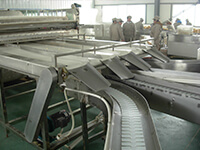 Distributing Conveyor