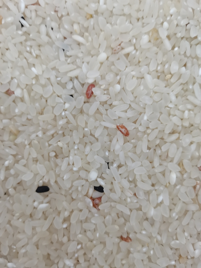 Mini rice color sorter with deft 1