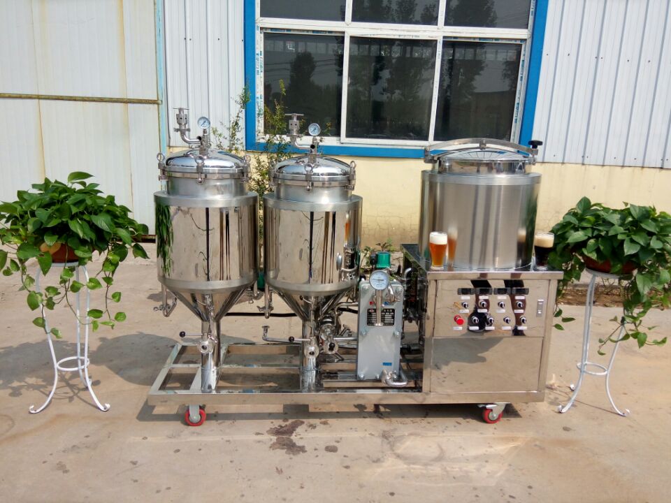 50L 100L hobby brew beer brewery equipment for home use