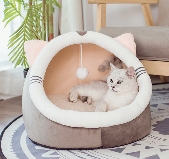 designer cat bed
