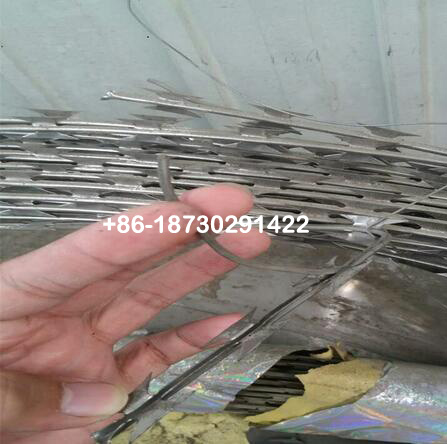 16 meter long Straight Line Concertina Razor Babred Wire used in Electricity Fence