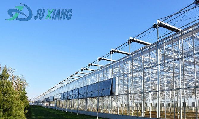 Water Sprayer Controlled Humidity Glasshouse