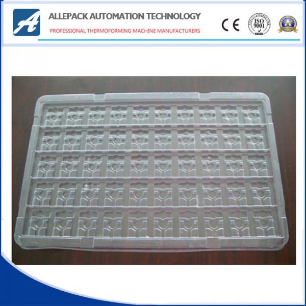 tray packaging