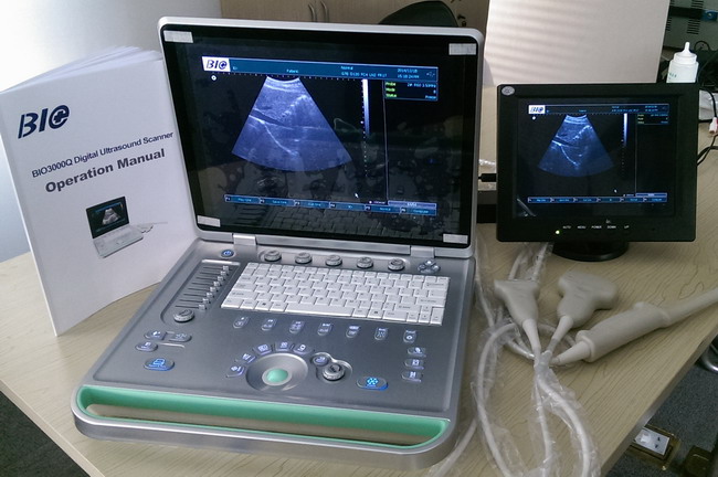 3D Digital Laptop B / W Portable Ultrasound Scanner With Convex Linear Transvaginal Probes