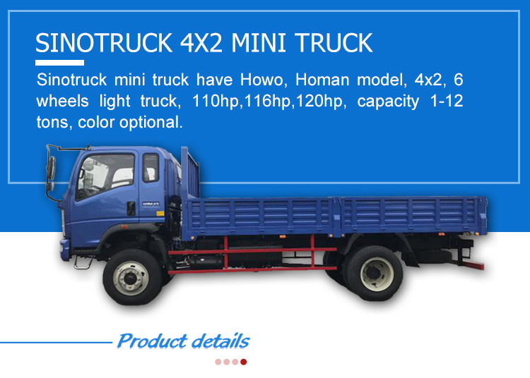 Used HOWO Light Truck Mini Cargo Truck