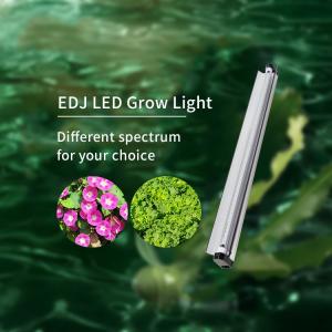 China 5W Horticulture Led Grow Lights , Full Cycle Eco Farm Grow Light Maximize Photosynthesis on sale 