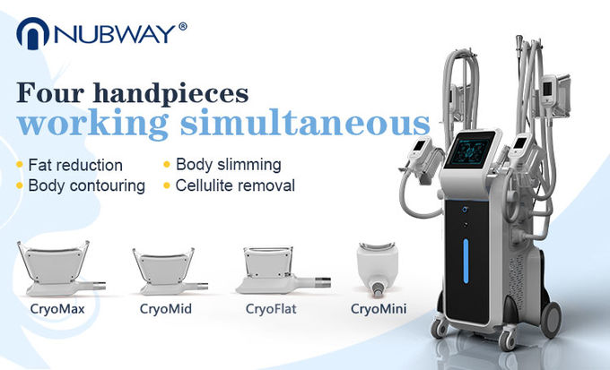 2018 China Popular CE Approved New Cryo 4 Therapy Heads Cool Cryolipolysis Machine