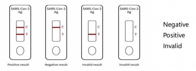 NCoV Rapid Covid Test Kit Immunochromatography Sample Requirements 2