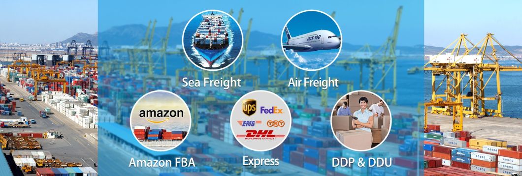 International Shipping Service From China to Us UK Canada Europe Door to Door Delivery