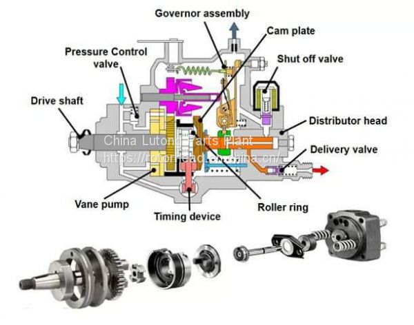 VE type pump head assembly