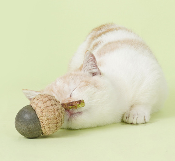 cute cat balls