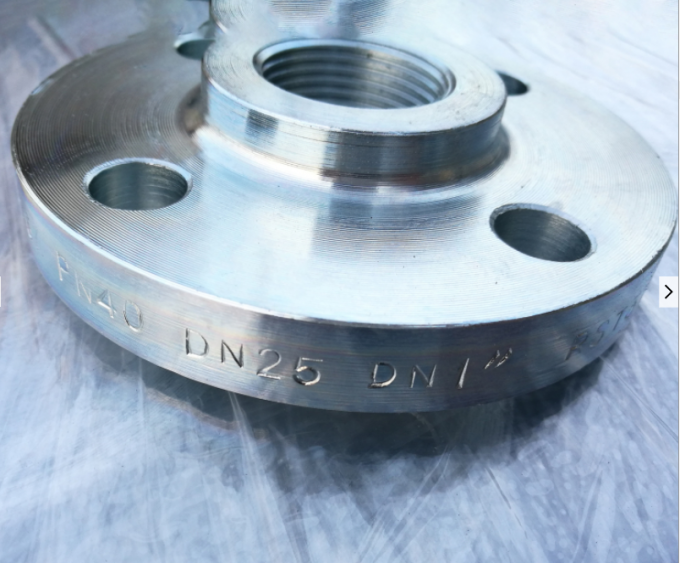 Zinc Plated 316 Forged Stainless Steel Flanges / Threaded Slip On Flange 1