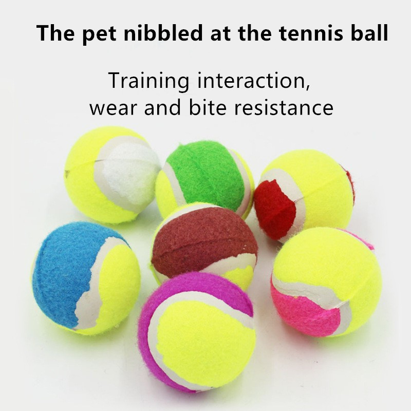 tennis ball dog teeth 