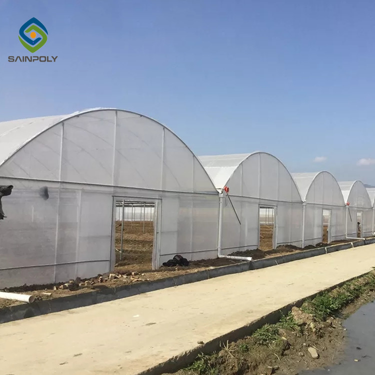 Sawtooth Top Ventilation 9.6m Multi Span Greenhouse 0